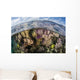 Gorgonians and Reef-building Corals Wall Decal Design 5