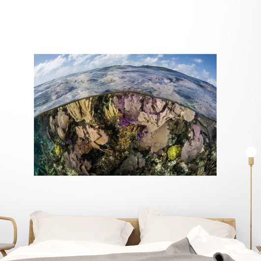 Gorgonians and Reef-building Corals Wall Decal Design 5