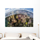 Gorgonians and Reef-building Corals Wall Decal Design 5