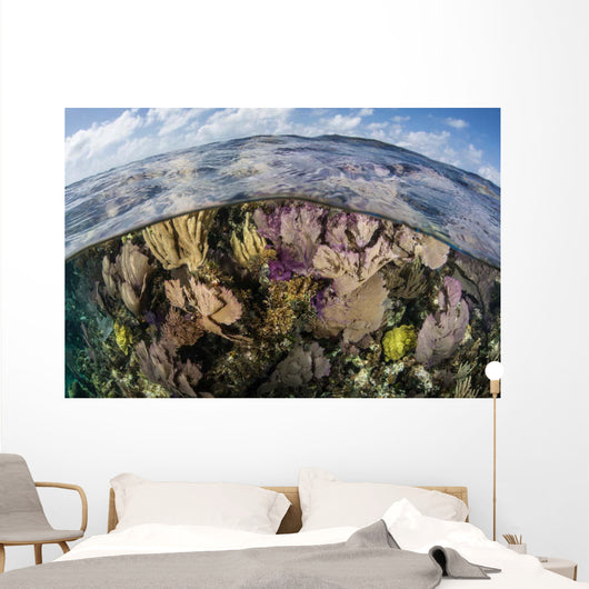 Gorgonians and Reef-building Corals Wall Decal Design 5