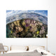 Gorgonians and Reef-building Corals Wall Decal Design 5