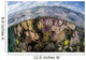 Gorgonians and Reef-building Corals Wall Decal Design 5