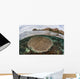 Beautiful Reef Grows Komodo Wall Decal Design 1
