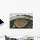Beautiful Reef Grows Komodo Wall Decal Design 1