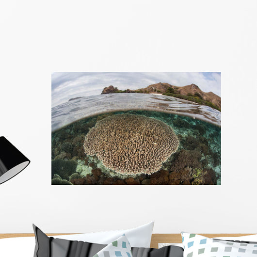 Beautiful Reef Grows Komodo Wall Decal Design 1