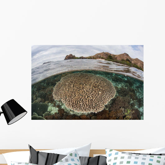 Beautiful Reef Grows Komodo Wall Decal Design 1