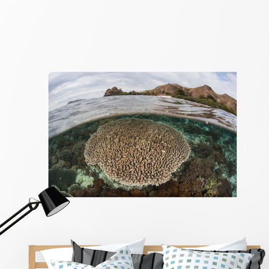 Beautiful Reef Grows Komodo Wall Decal Design 1