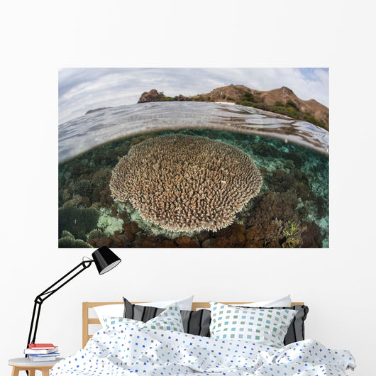 Beautiful Reef Grows Komodo Wall Decal Design 1
