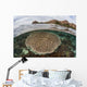Beautiful Reef Grows Komodo Wall Decal Design 1