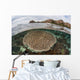 Beautiful Reef Grows Komodo Wall Decal Design 1