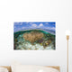 Gorgonians and Reef-building Corals Wall Decal Design 4