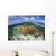 Gorgonians and Reef-building Corals Wall Decal Design 4
