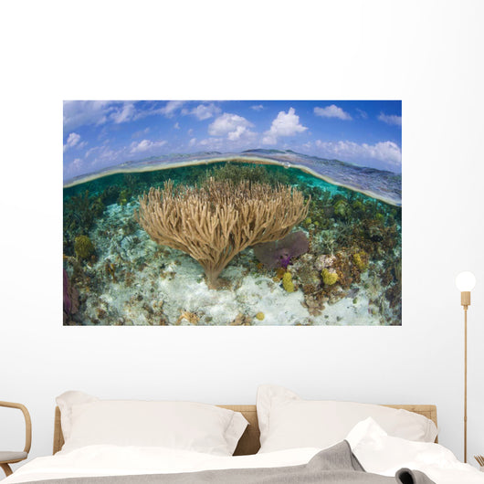 Gorgonians and Reef-building Corals Wall Decal Design 4