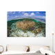 Gorgonians and Reef-building Corals Wall Decal Design 4