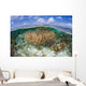 Gorgonians and Reef-building Corals Wall Decal Design 4