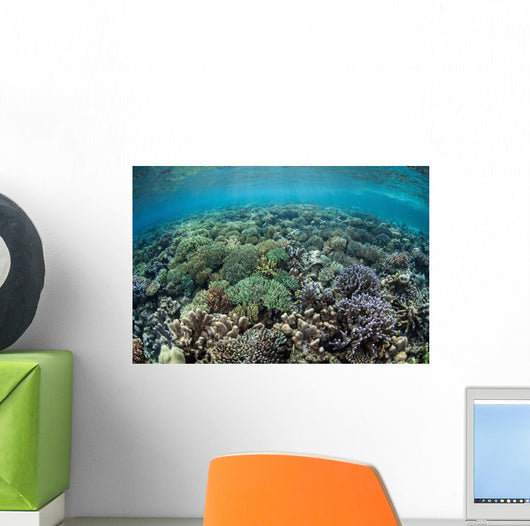 Diverse Array Corals Grow Wall Decal Design 2
