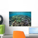 Diverse Array Corals Grow Wall Decal Design 2