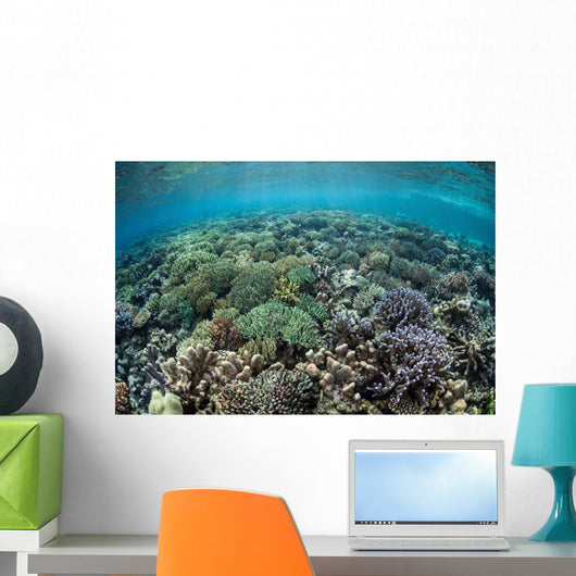 Diverse Array Corals Grow Wall Decal Design 2