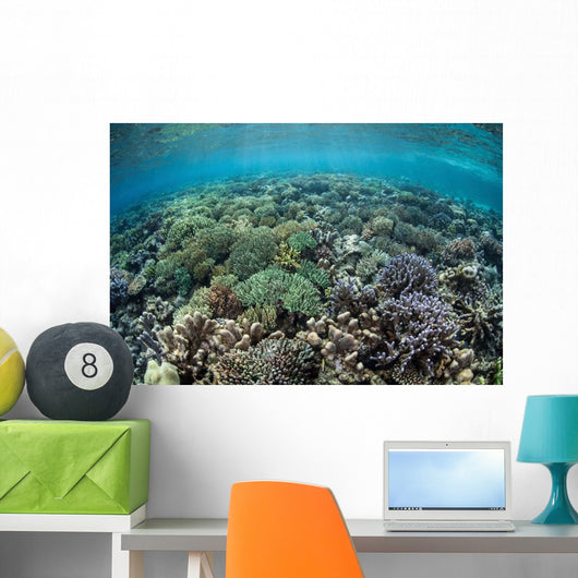 Diverse Array Corals Grow Wall Decal Design 2