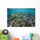 Diverse Array Corals Grow Wall Decal Design 2