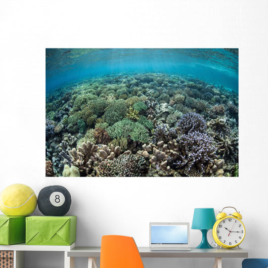 Diverse Array Corals Grow Wall Decal Design 2
