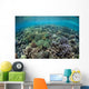 Diverse Array Corals Grow Wall Decal Design 2