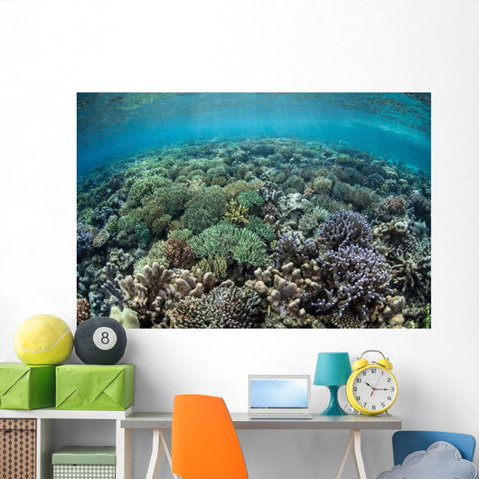 Diverse Array Corals Grow Wall Decal Design 2