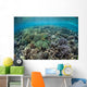Diverse Array Corals Grow Wall Decal Design 2