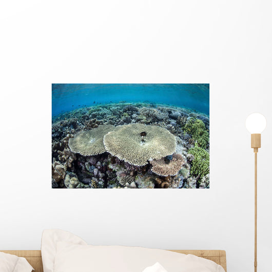 Diverse Array Corals Grow Wall Decal Design 1