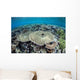 Diverse Array Corals Grow Wall Decal Design 1