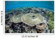 Diverse Array Corals Grow Wall Decal Design 1