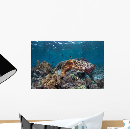 Broadclub Cuttlefish Swims above Wall Decal Design 2