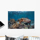 Broadclub Cuttlefish Swims above Wall Decal Design 2