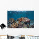 Broadclub Cuttlefish Swims above Wall Decal Design 2