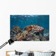 Broadclub Cuttlefish Swims above Wall Decal Design 2