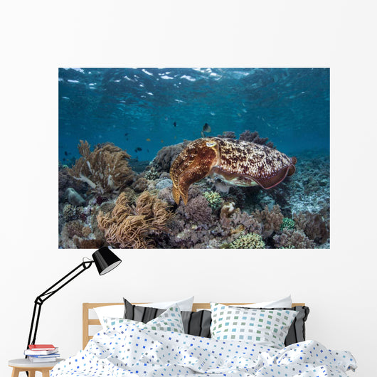 Broadclub Cuttlefish Swims above Wall Decal Design 2