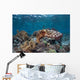 Broadclub Cuttlefish Swims above Wall Decal Design 2