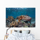 Broadclub Cuttlefish Swims above Wall Decal Design 2