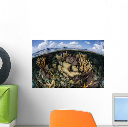 Gorgonians and Reef-building Corals Wall Decal Design 2