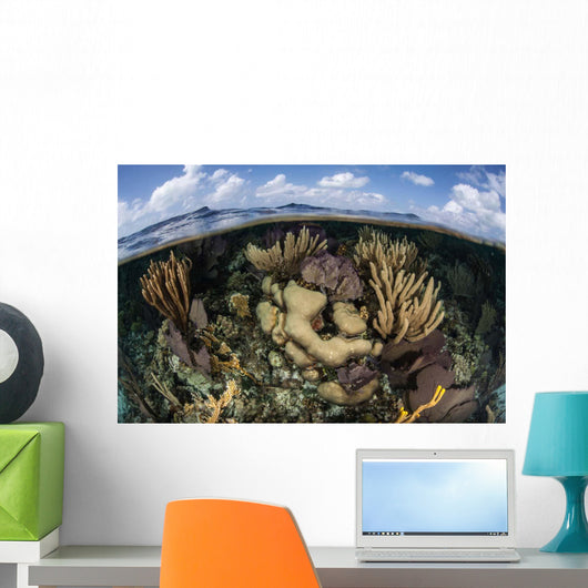 Gorgonians and Reef-building Corals Wall Decal Design 2