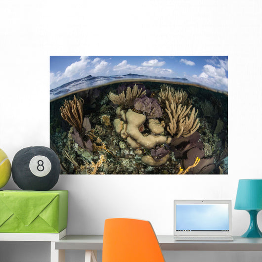 Gorgonians and Reef-building Corals Wall Decal Design 2