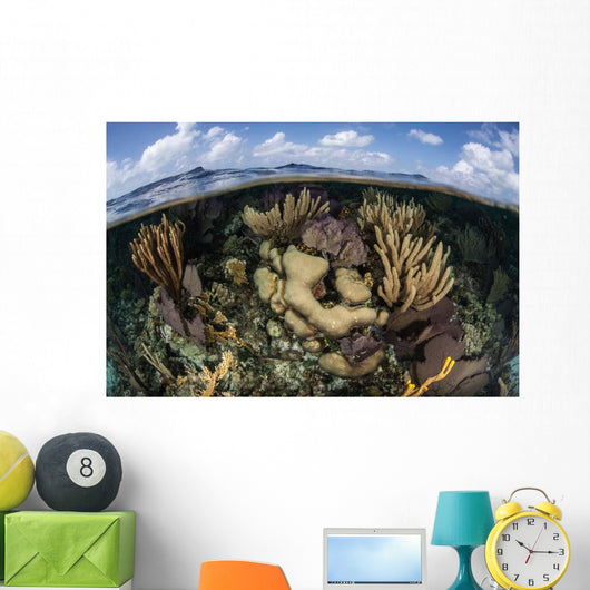 Gorgonians and Reef-building Corals Wall Decal Design 2