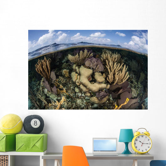 Gorgonians and Reef-building Corals Wall Decal Design 2