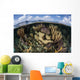 Gorgonians and Reef-building Corals Wall Decal Design 2