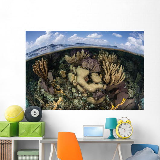 Gorgonians and Reef-building Corals Wall Decal Design 2