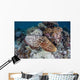 Broadclub Cuttlefish Swims above Wall Decal Design 1