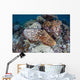 Broadclub Cuttlefish Swims above Wall Decal Design 1