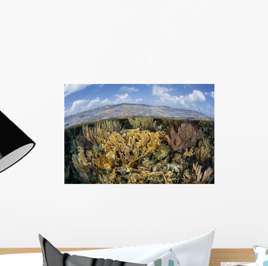 Gorgonians and Reef-building Corals Wall Decal Design 1