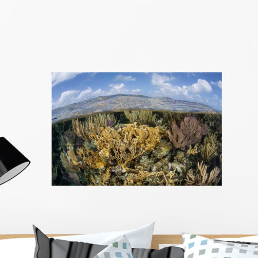 Gorgonians and Reef-building Corals Wall Decal Design 1