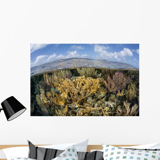 Gorgonians and Reef-building Corals Wall Decal Design 1